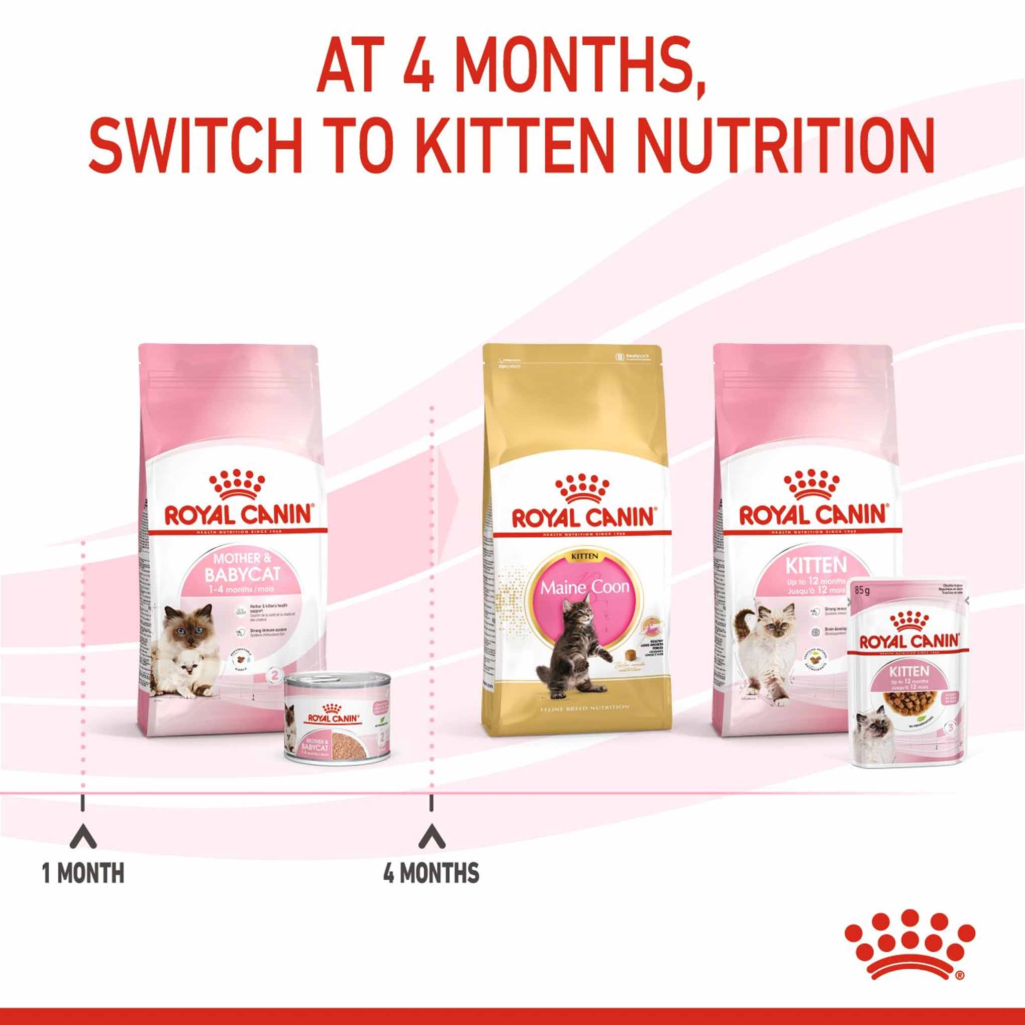 Royal Canin Feline Health Nutrition Mother & Babycat Ultra Soft Mousse Wet Cat Food - 12x195g Cans - Image 6