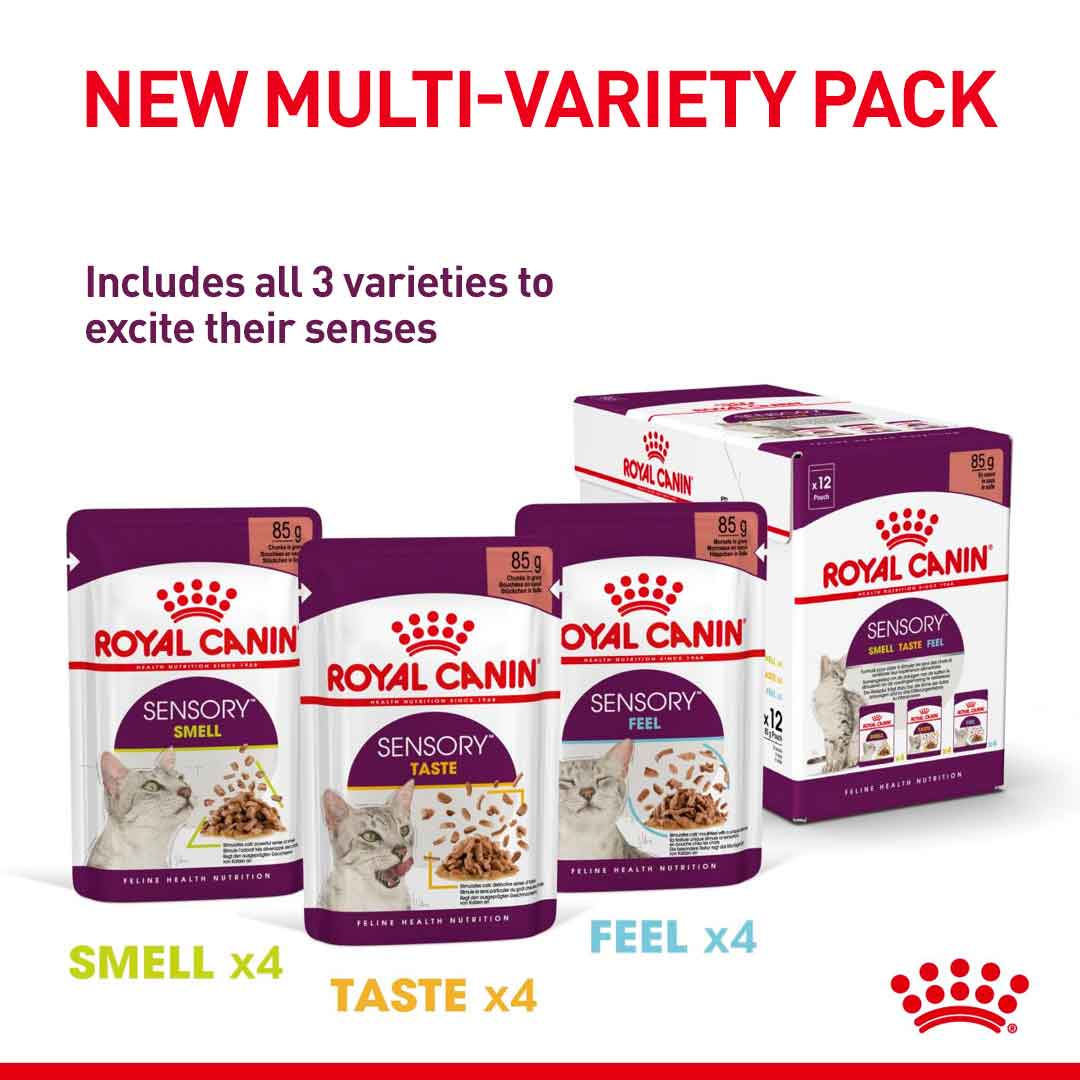 Royal Canin Feline Health Nutrition Sensory Feel in Gravy Wet Cat Food - 12x85g Pouches - Image 4