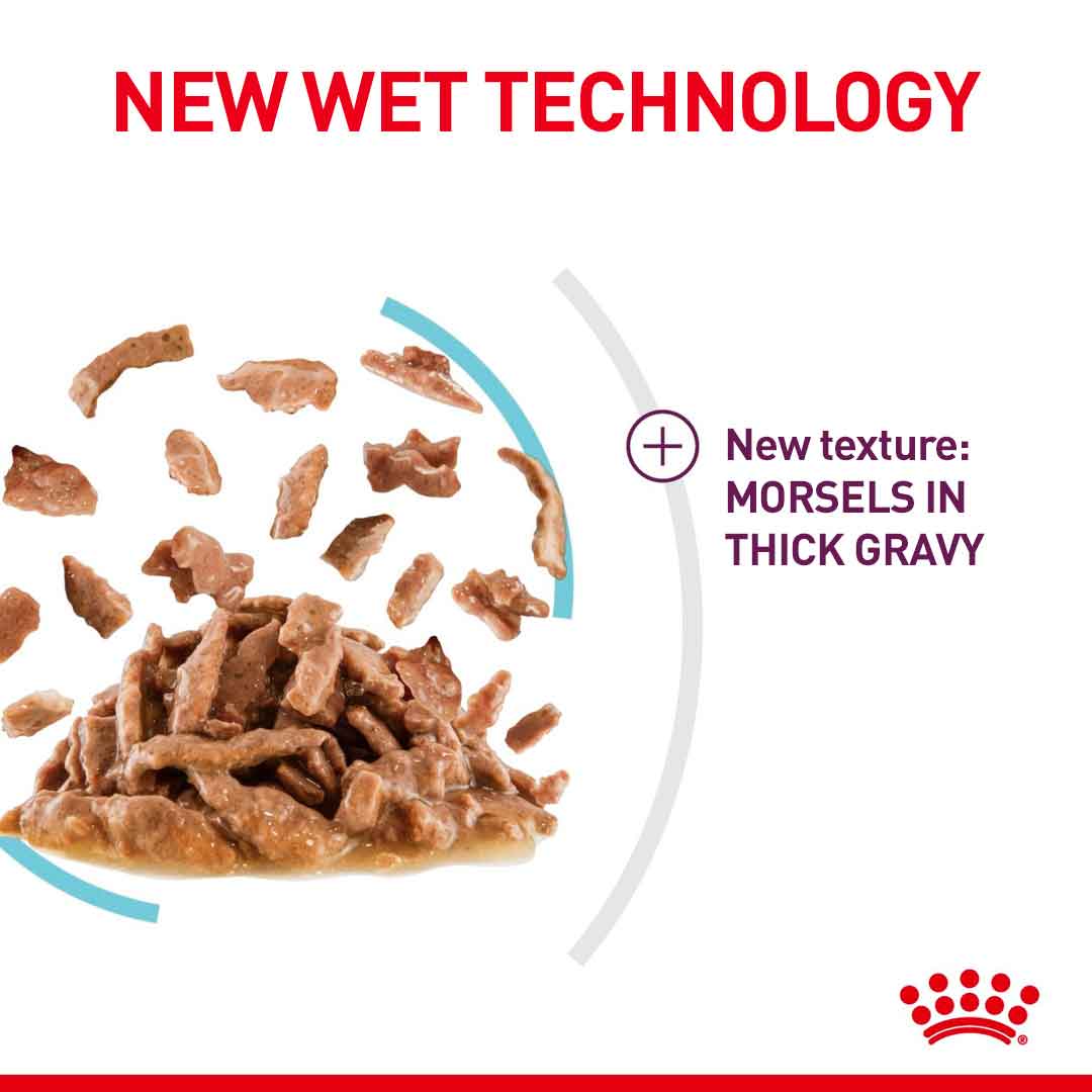 Royal Canin Feline Health Nutrition Sensory Feel in Gravy Wet Cat Food - 12x85g Pouches - Image 5