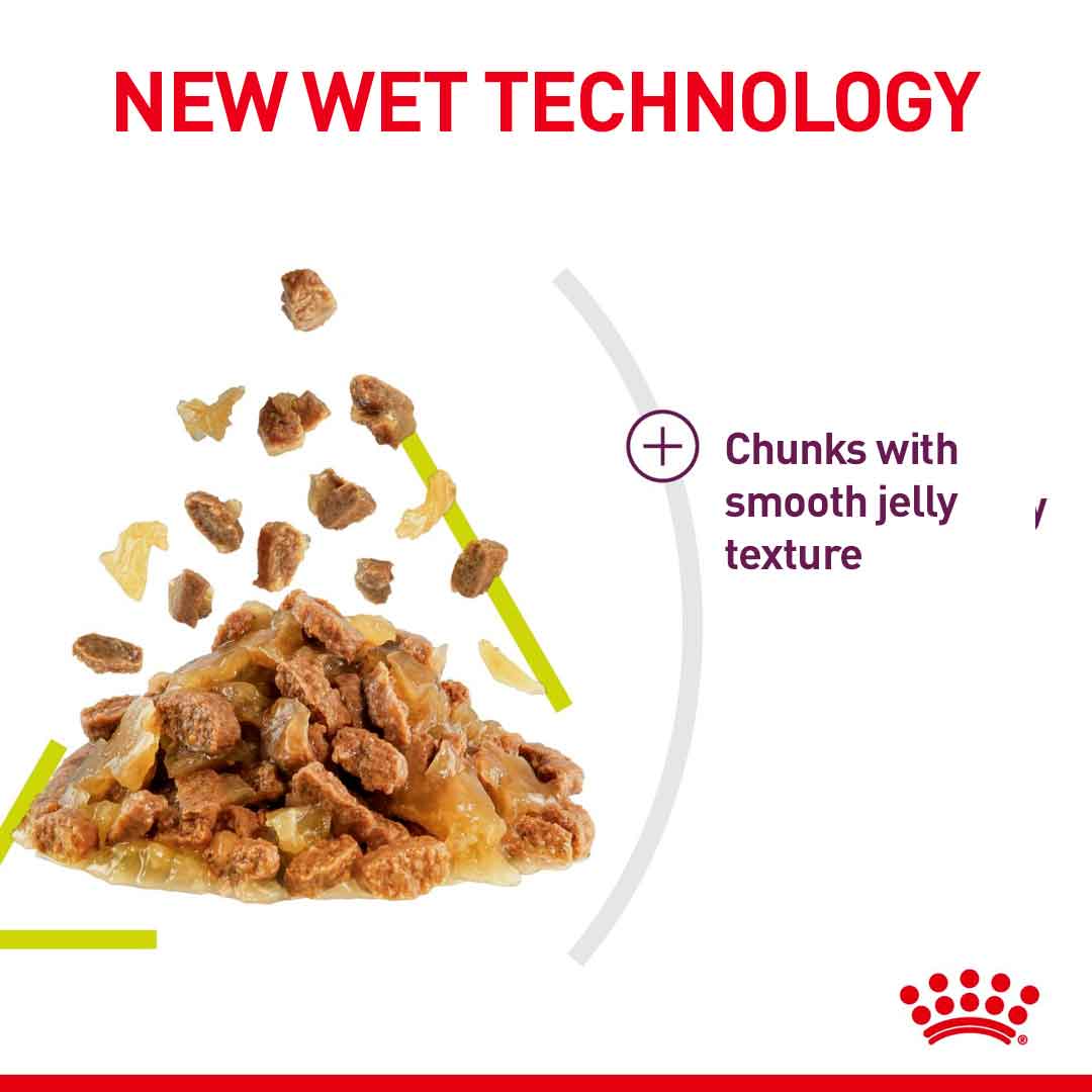 Royal Canin Feline Health Nutrition Sensory Smell in Gravy Wet Cat Food - 12x85g Pouches - Image 5