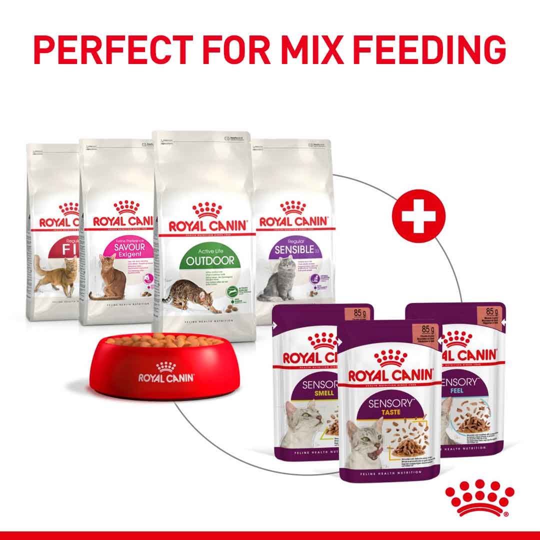 Royal Canin Feline Health Nutrition Sensory Taste in Jelly Wet Cat Food - 12x85g Pouches - Image 4