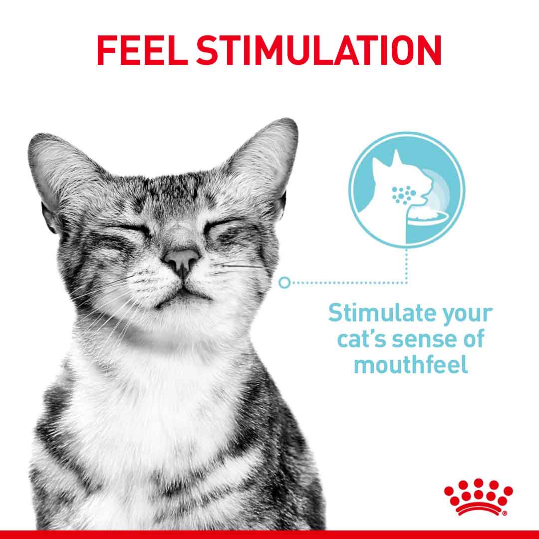 Royal Canin Feline Health Nutrition Sensory Variety Pack in Gravy Wet Cat Food - 12x85g Pouches - Image 5