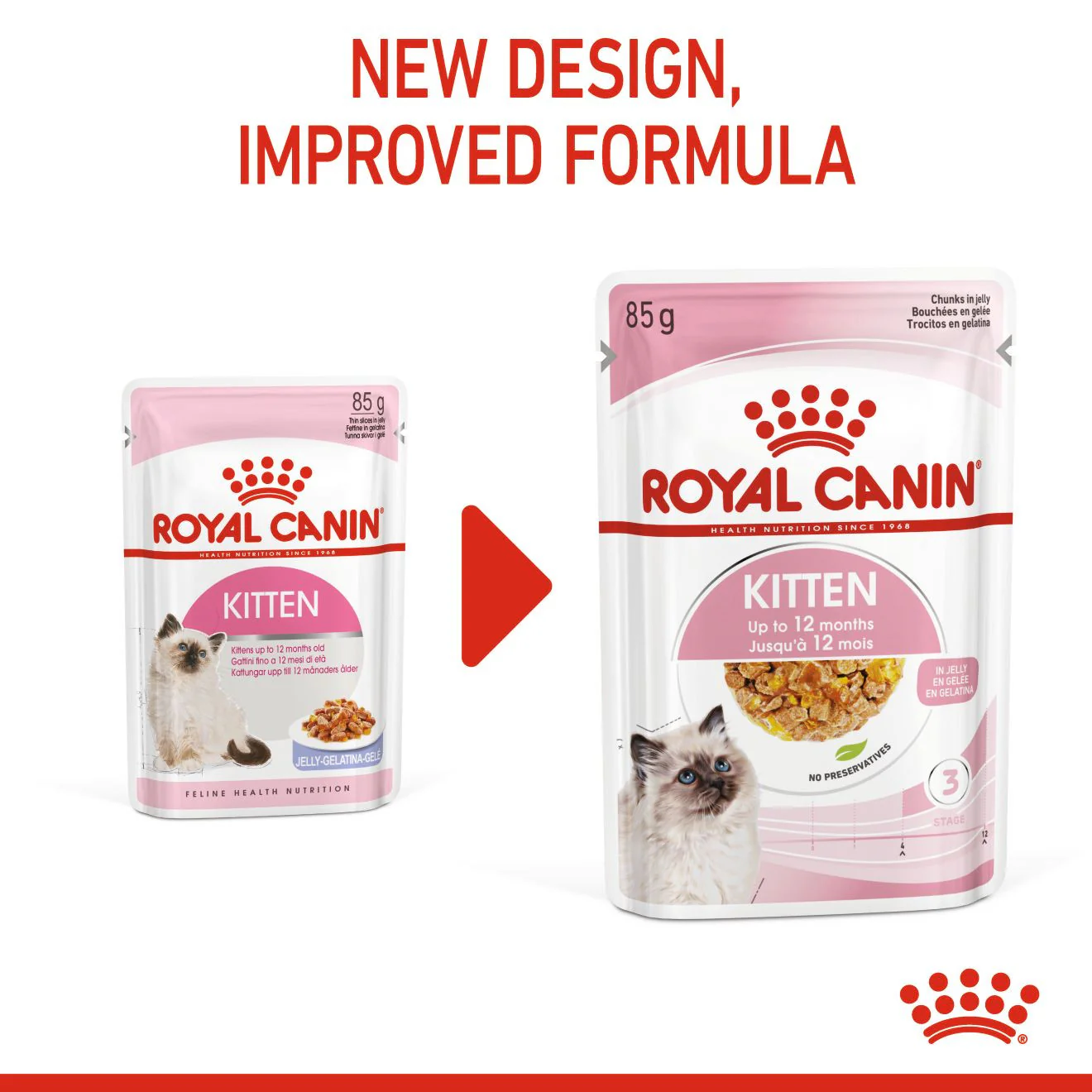 ROYAL CANIN Feline Health Nutrition Wet Kitten Food In Jelly - 12x85g Pouches - Image 8