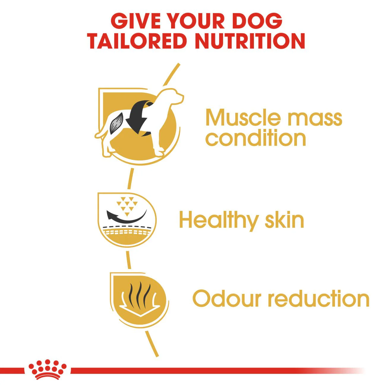 Royal Canin French Bulldog Adult Dry Dog Food - Image 5