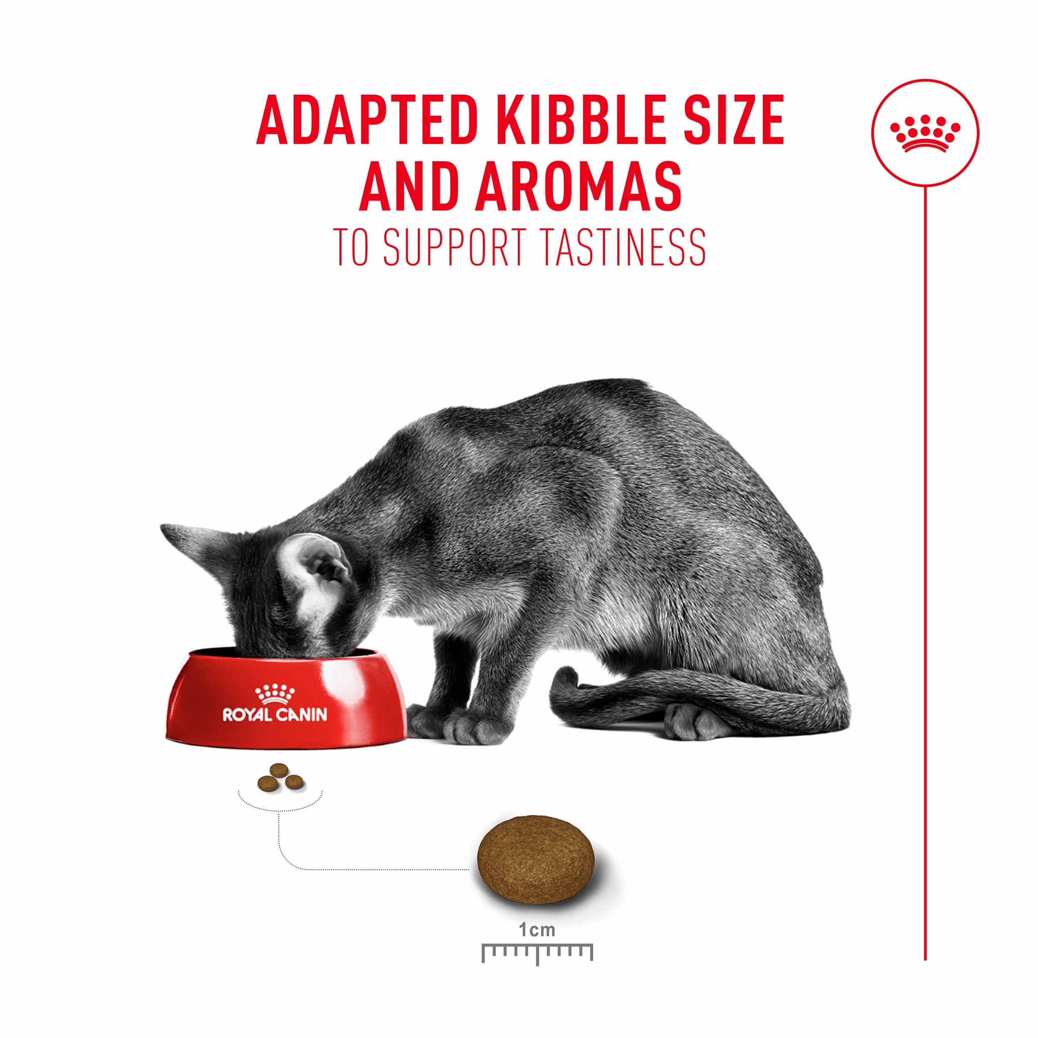 Royal Canin Fussy Adult Dry Cat Food - Image 2