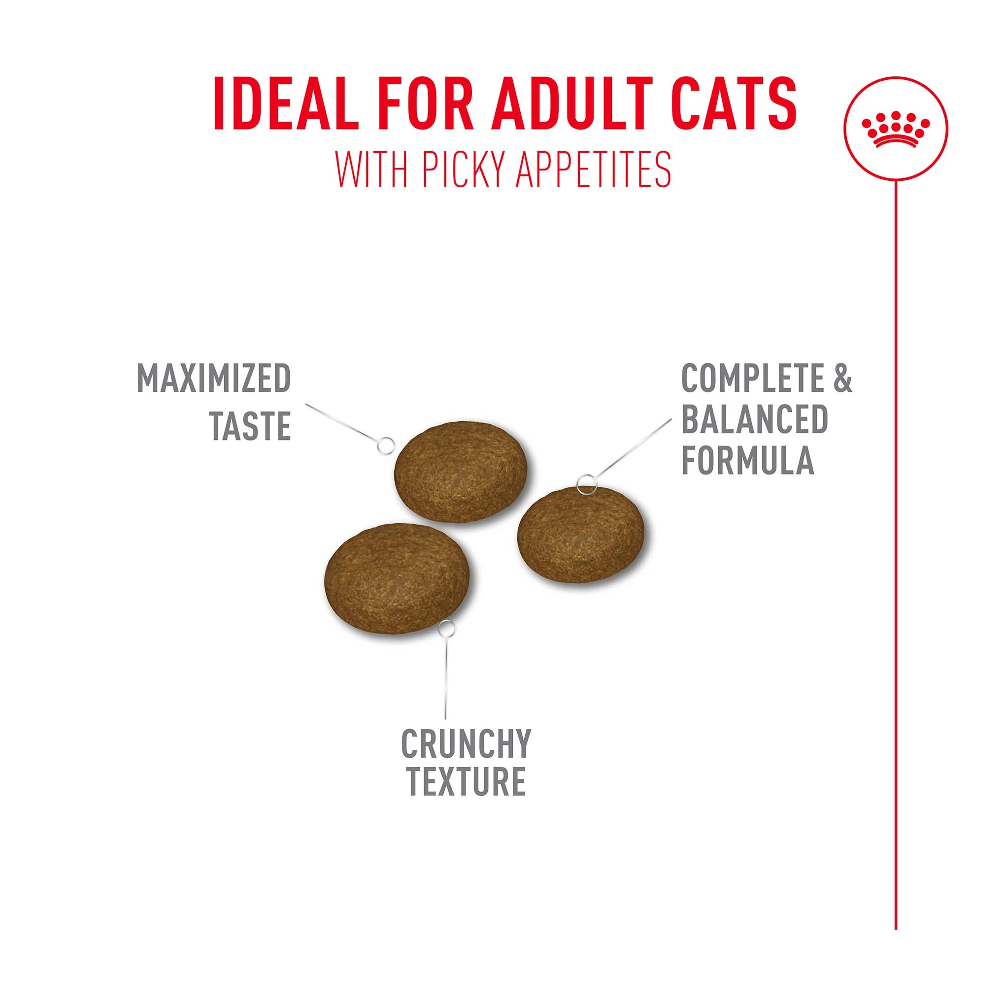 Royal Canin Fussy Adult Dry Cat Food - Image 4