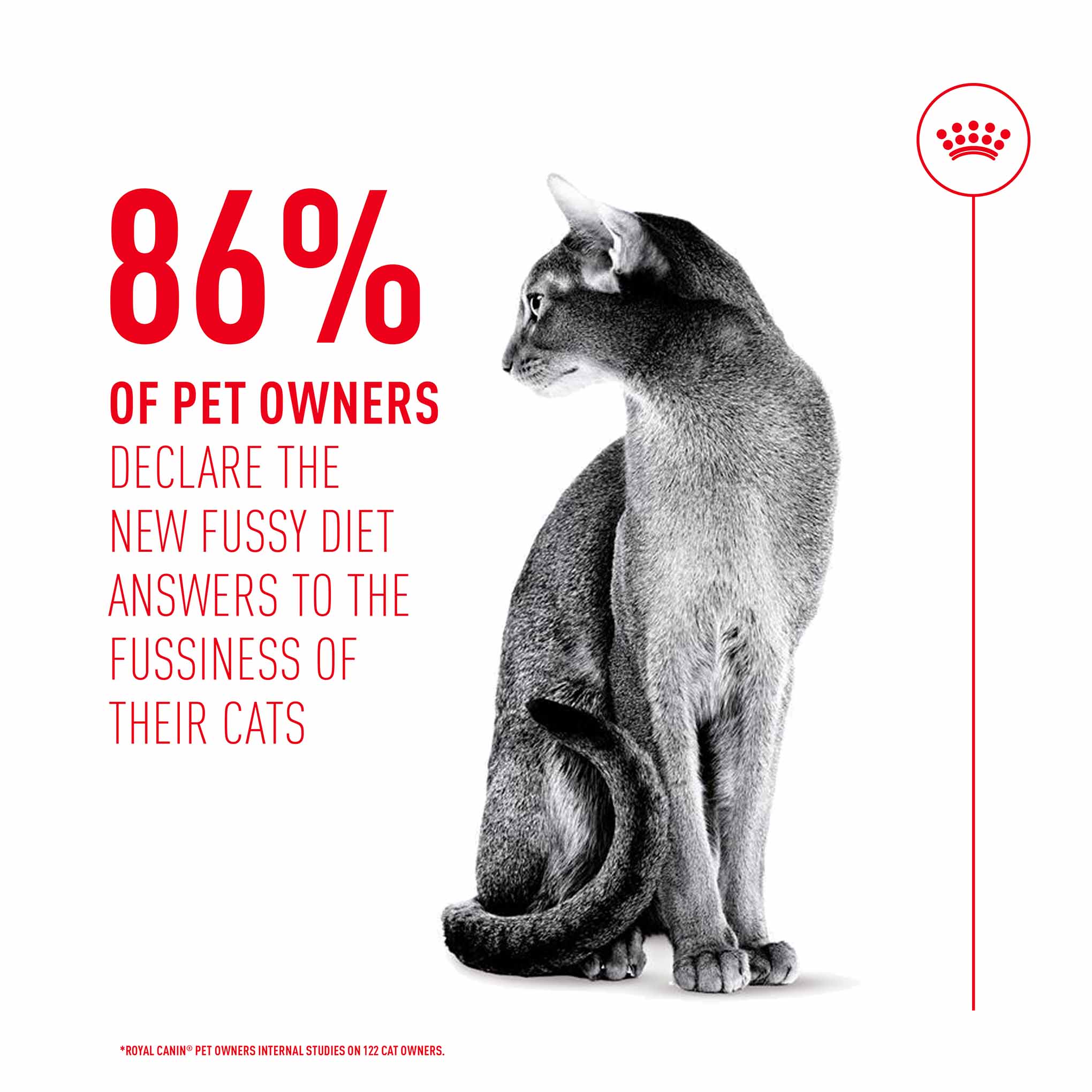Royal Canin Fussy Adult Dry Cat Food - Image 5
