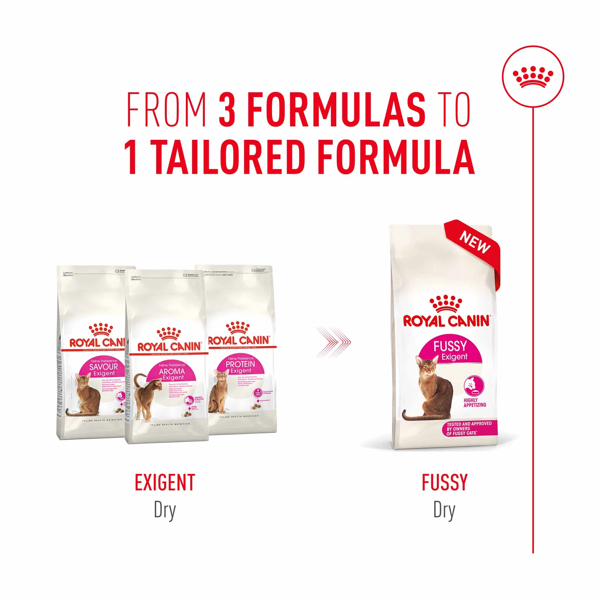 Royal Canin Fussy Adult Dry Cat Food - Image 6