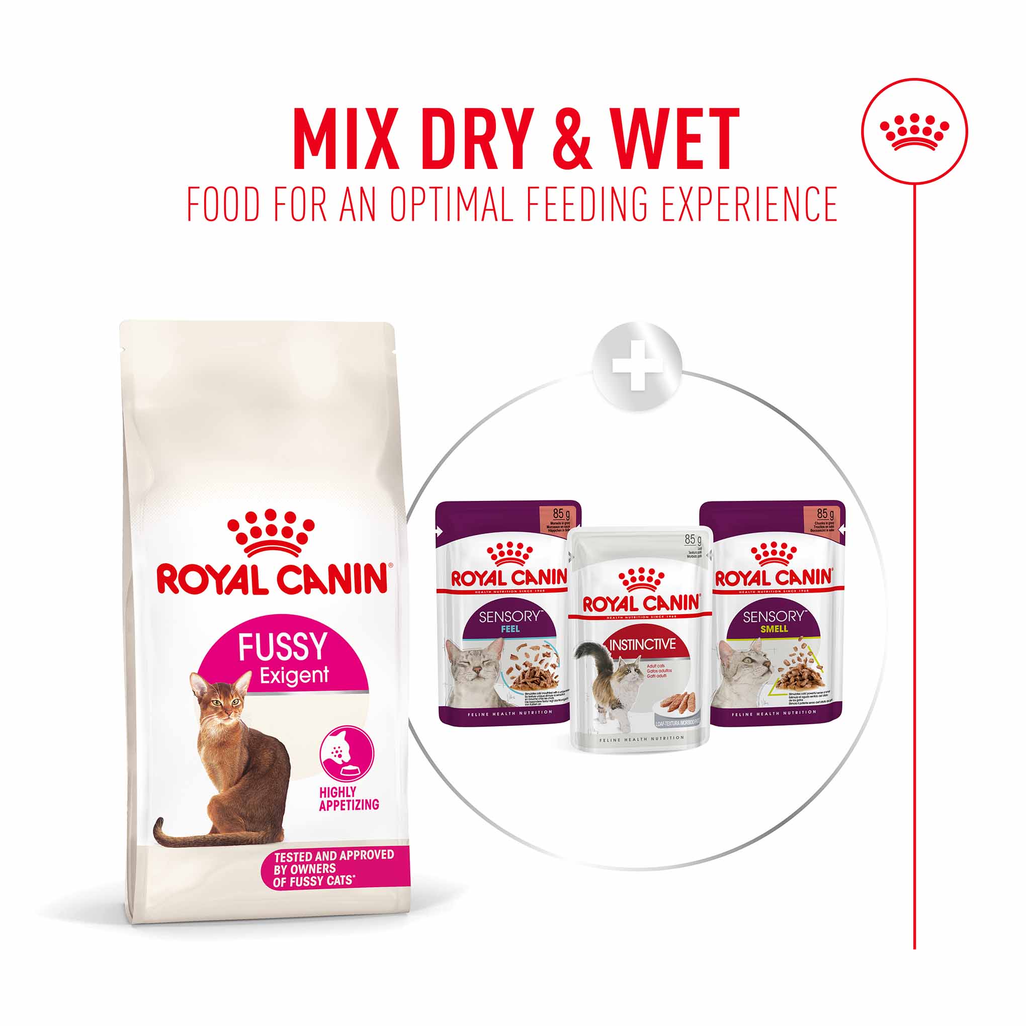 Royal Canin Fussy Adult Dry Cat Food - Image 7