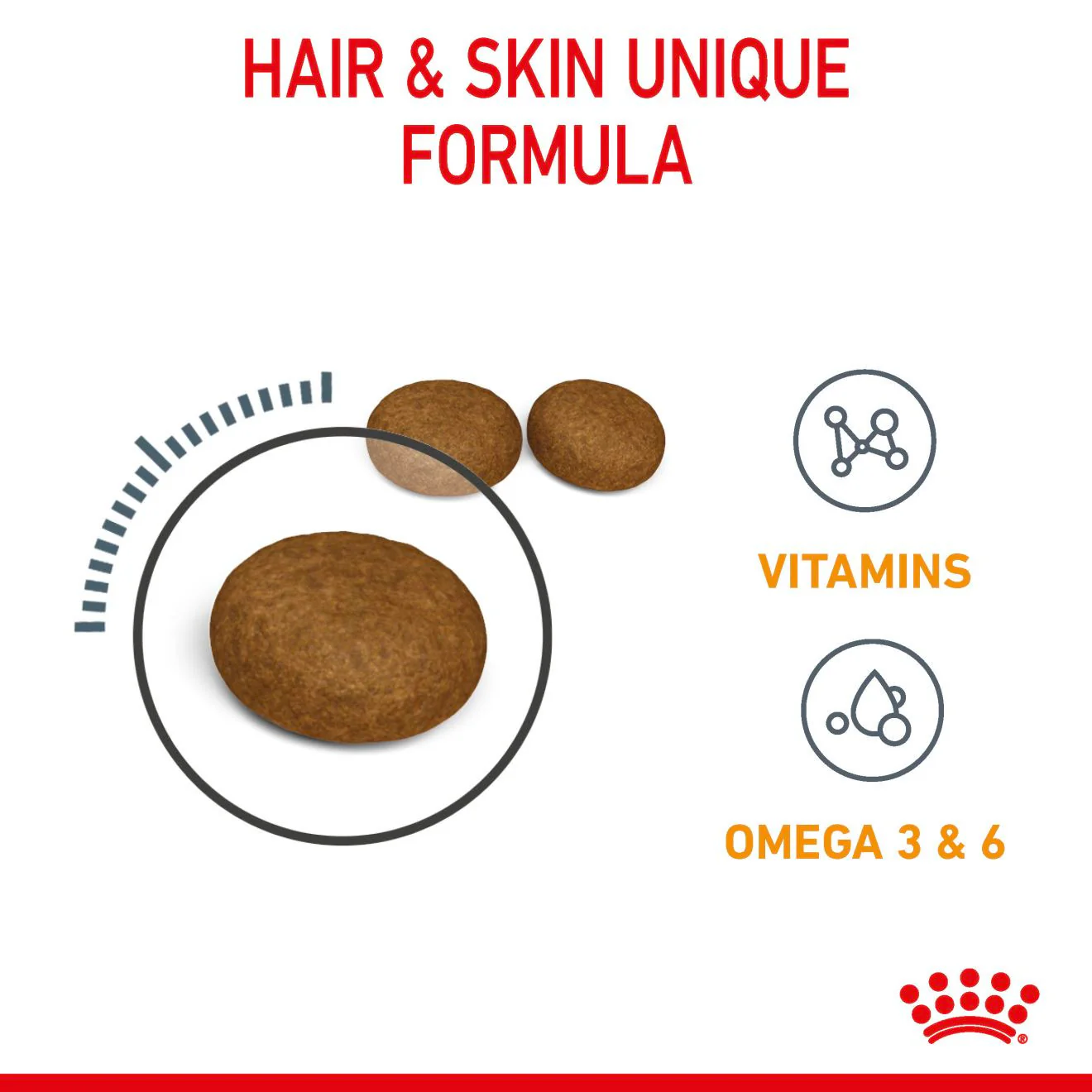 ROYAL CANIN Hair & Skin Care Adult Dry Cat Food - Image 4