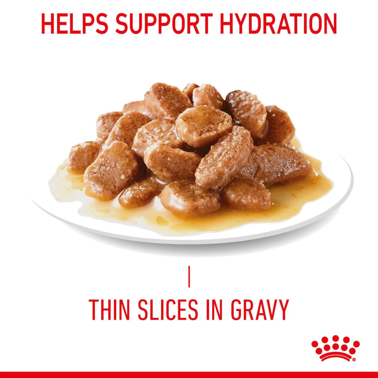 ROYAL CANIN Hair & Skin Care Adult Wet Cat Food In Gravy - 12x85g Pouches - Image 11