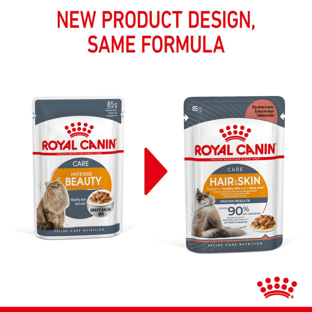 ROYAL CANIN Hair & Skin Care Adult Wet Cat Food In Gravy - 12x85g Pouches - Image 13