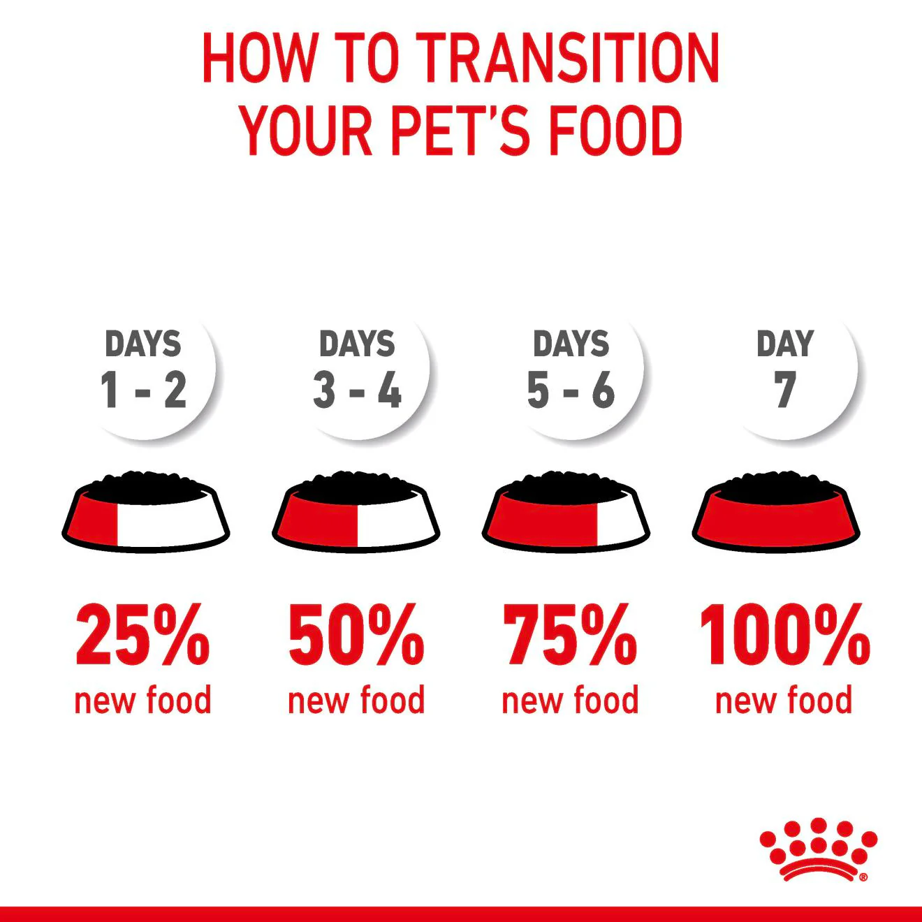ROYAL CANIN Hair & Skin Care Adult Wet Cat Food In Gravy - 12x85g Pouches - Image 7