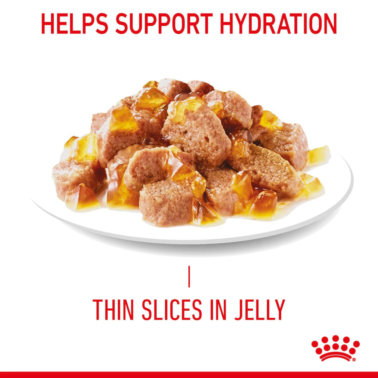ROYAL CANIN Hair & Skin Care Adult Wet Cat Food In Jelly - 12x85g Pouches - Image 10