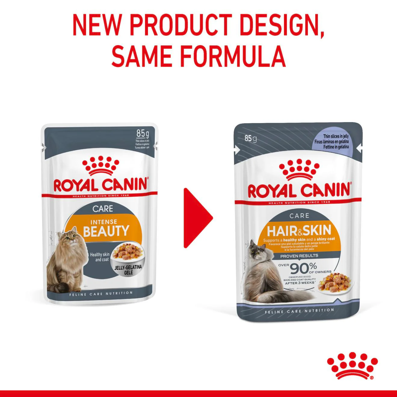 ROYAL CANIN Hair & Skin Care Adult Wet Cat Food In Jelly - 12x85g Pouches - Image 12