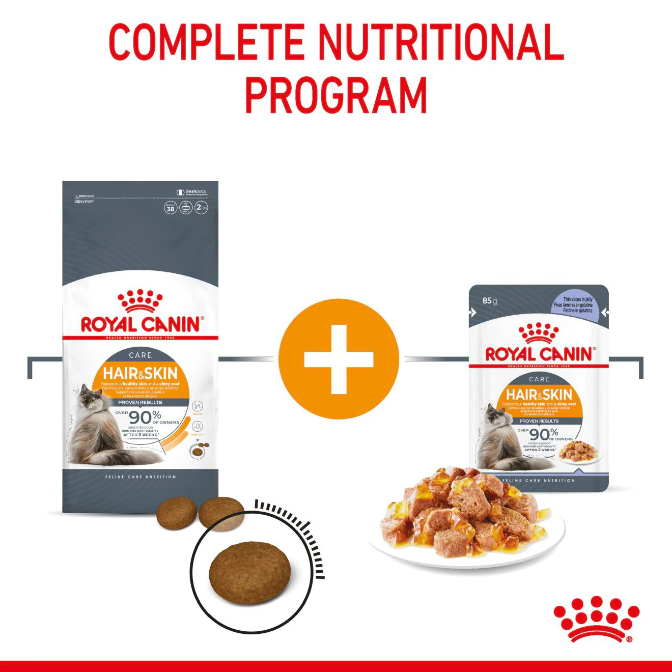 ROYAL CANIN Hair & Skin Care Adult Wet Cat Food In Jelly - 12x85g Pouches - Image 9