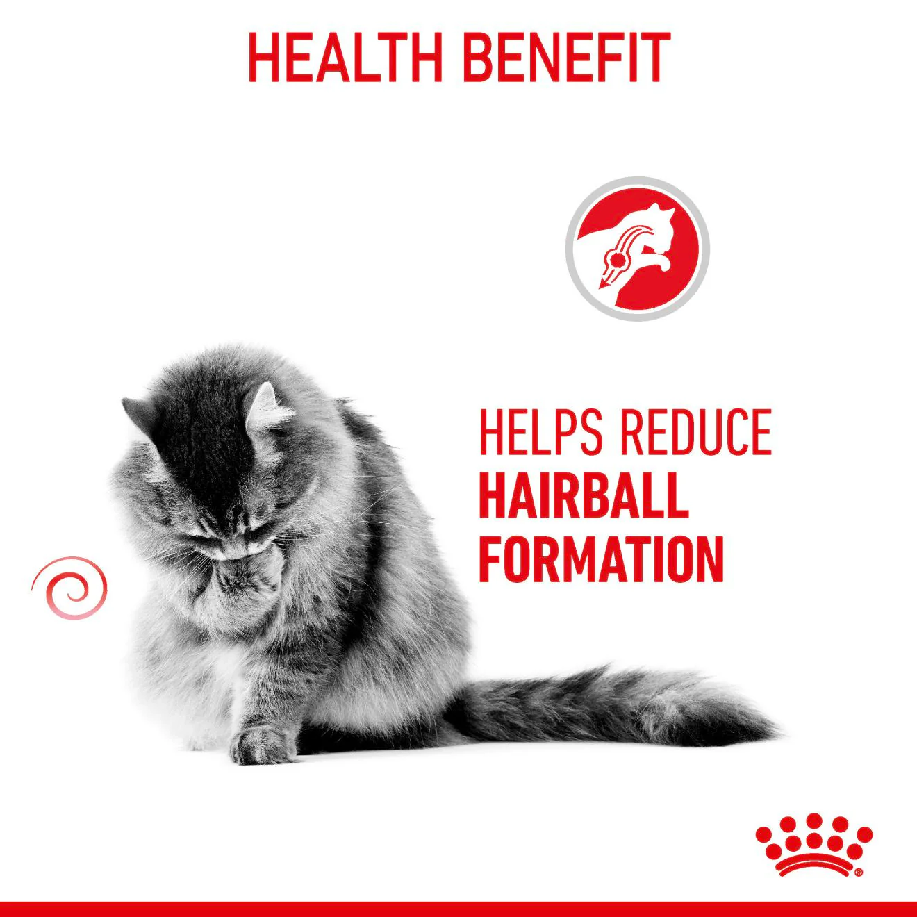 ROYAL CANIN Hairball Care Adult Dry Cat Food - Image 4