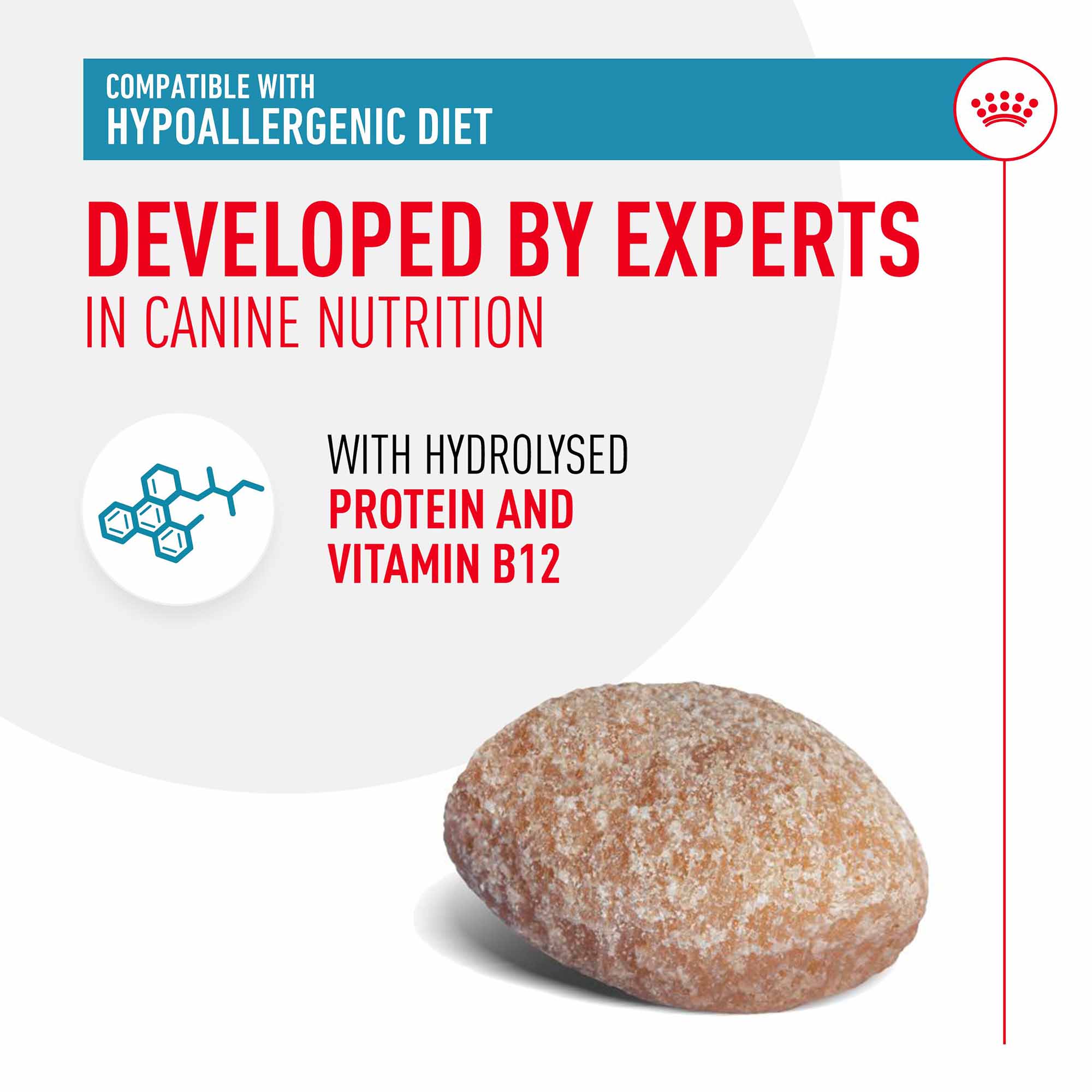 ROYAL CANIN Hypoallergenic Dog Treats - 230g - Image 2