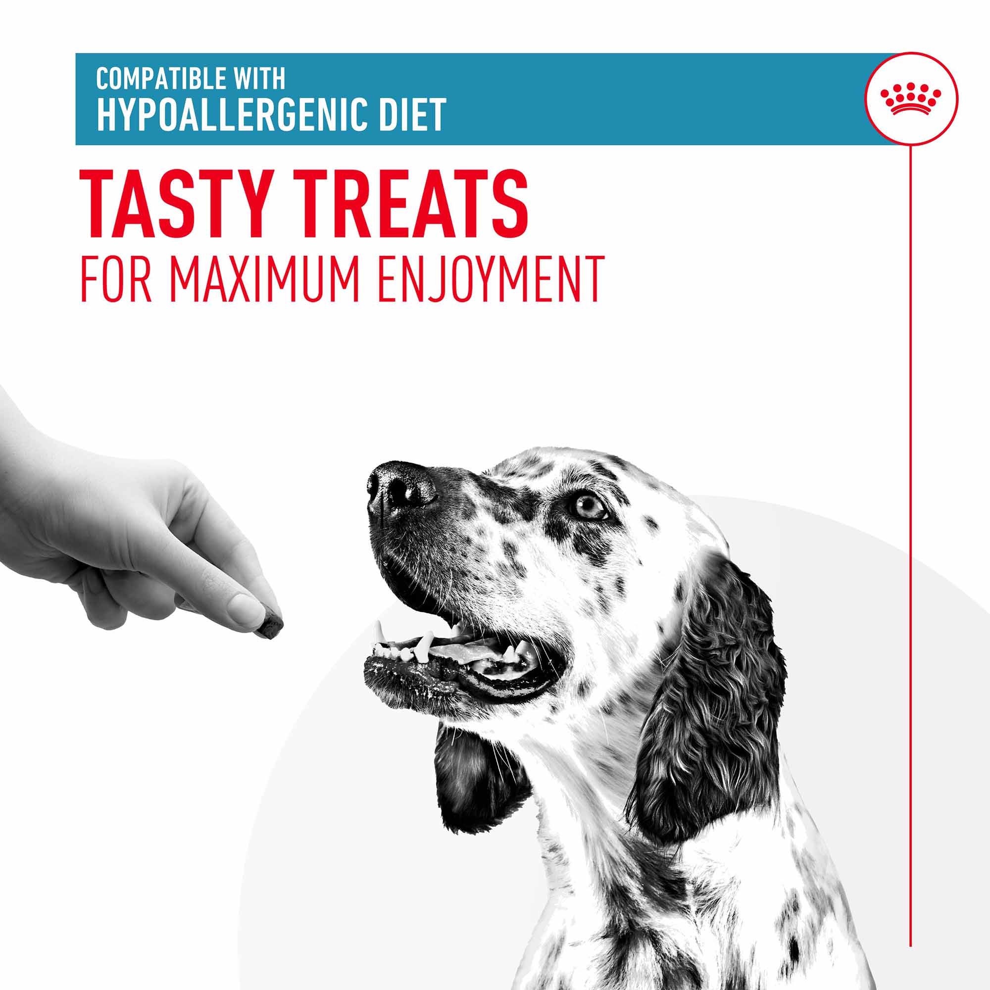 ROYAL CANIN Hypoallergenic Dog Treats - 230g - Image 3