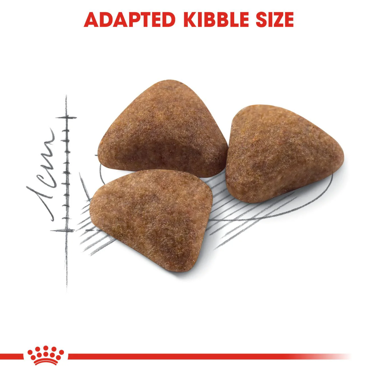 ROYAL CANIN Indoor 27 Dry Adult Cat Food - Image 4