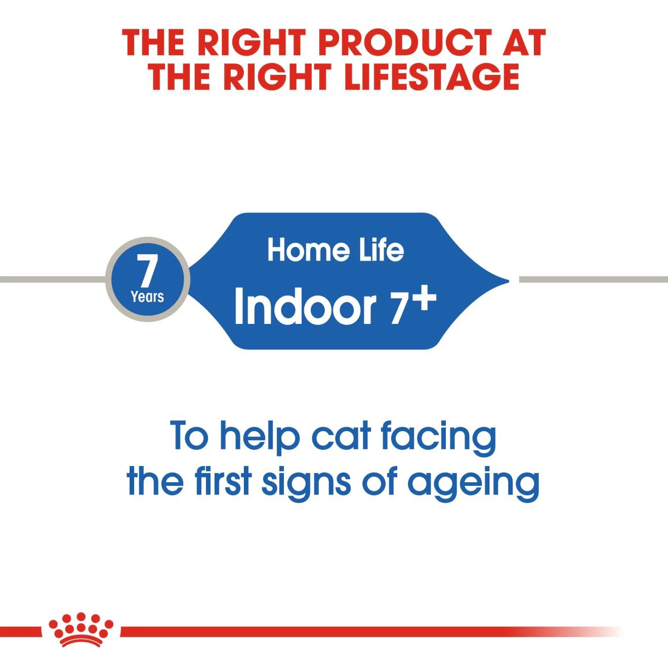 ROYAL CANIN Indoor 7+ Dry Adult Cat Food - Image 3