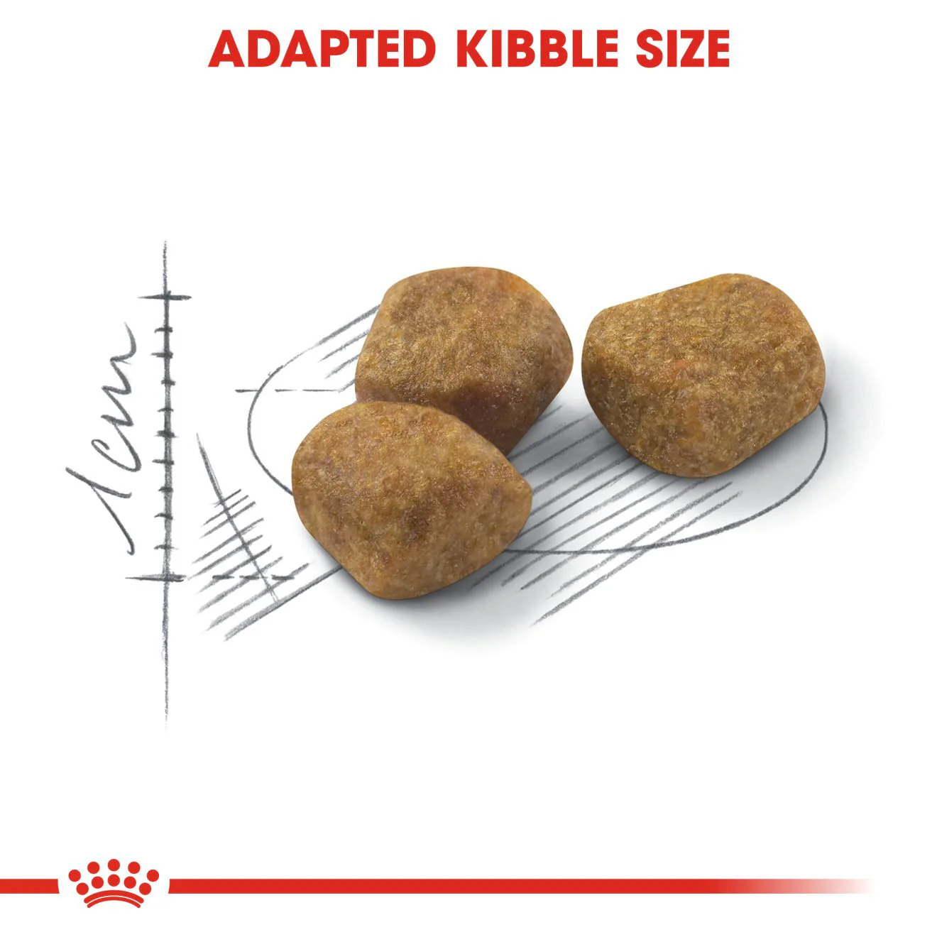 ROYAL CANIN Indoor 7+ Dry Adult Cat Food - Image 5