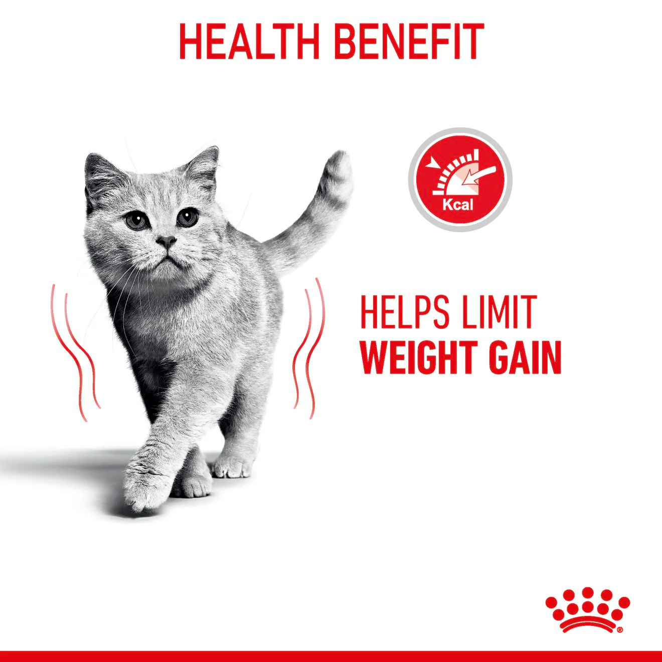 ROYAL CANIN Light Weight Care Adult Dry Cat Food - Image 4