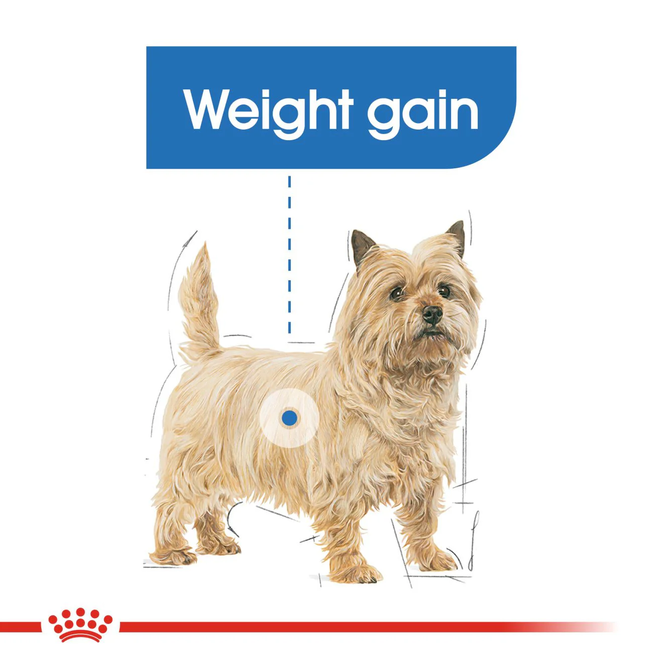 Royal Canin Light Weight Care Adult Wet Dog Food in Loaf - 12x85g Pouches - Image 3