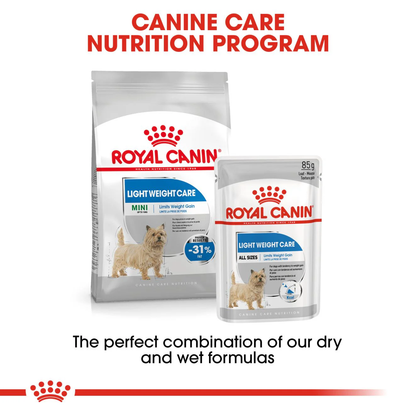 Royal Canin Light Weight Care Adult Wet Dog Food in Loaf - 12x85g Pouches - Image 6