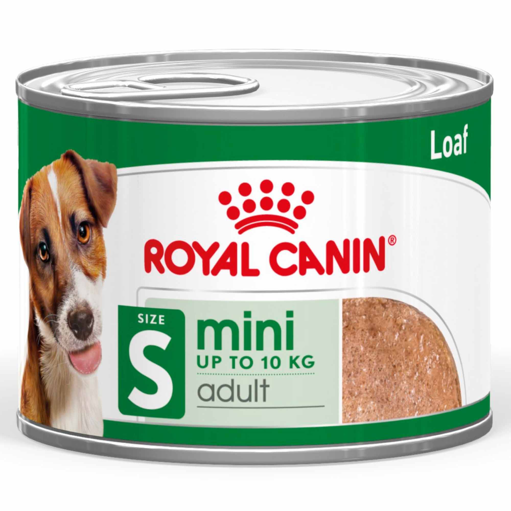 Royal Canin Mini Adult Wet Dog Food In Loaf - 12x195g Cans