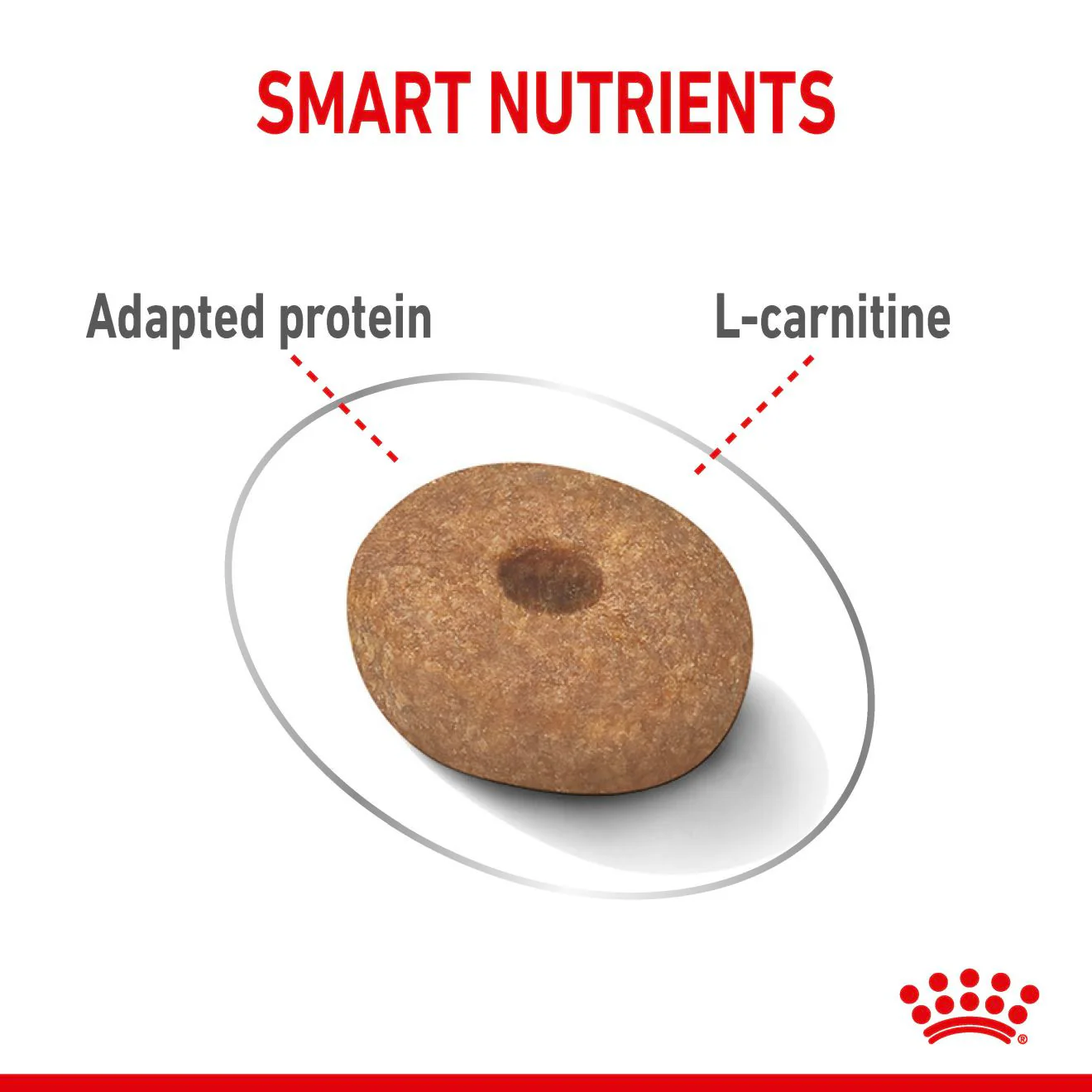 Royal Canin Mini Light Weight Care Adult Dry Dog Food - Image 5