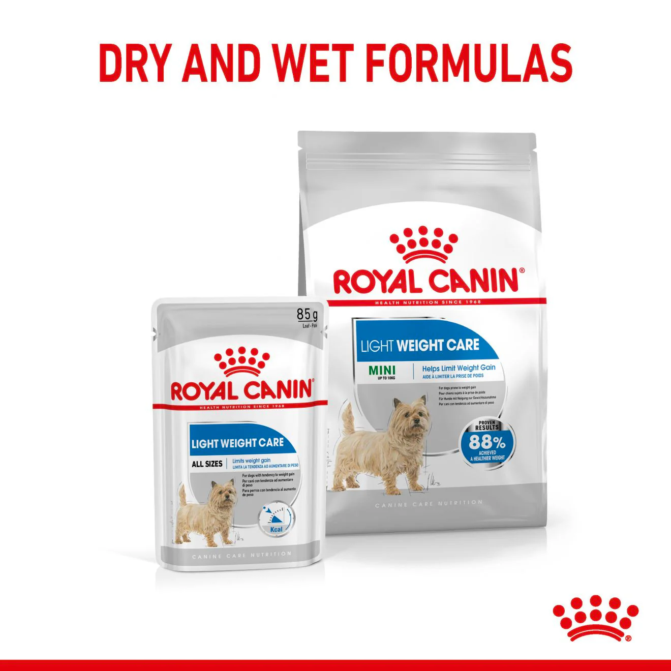 Royal Canin Mini Light Weight Care Adult Dry Dog Food - Image 6