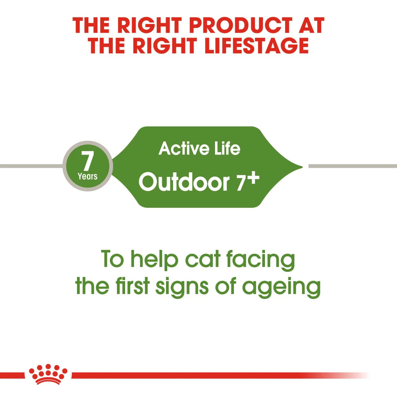 ROYAL CANIN Outdoor 7+ Dry Adult Cat Food - Image 3
