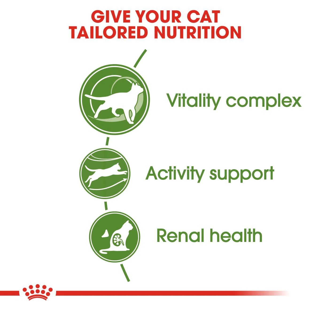 ROYAL CANIN Outdoor 7+ Dry Adult Cat Food - Image 4