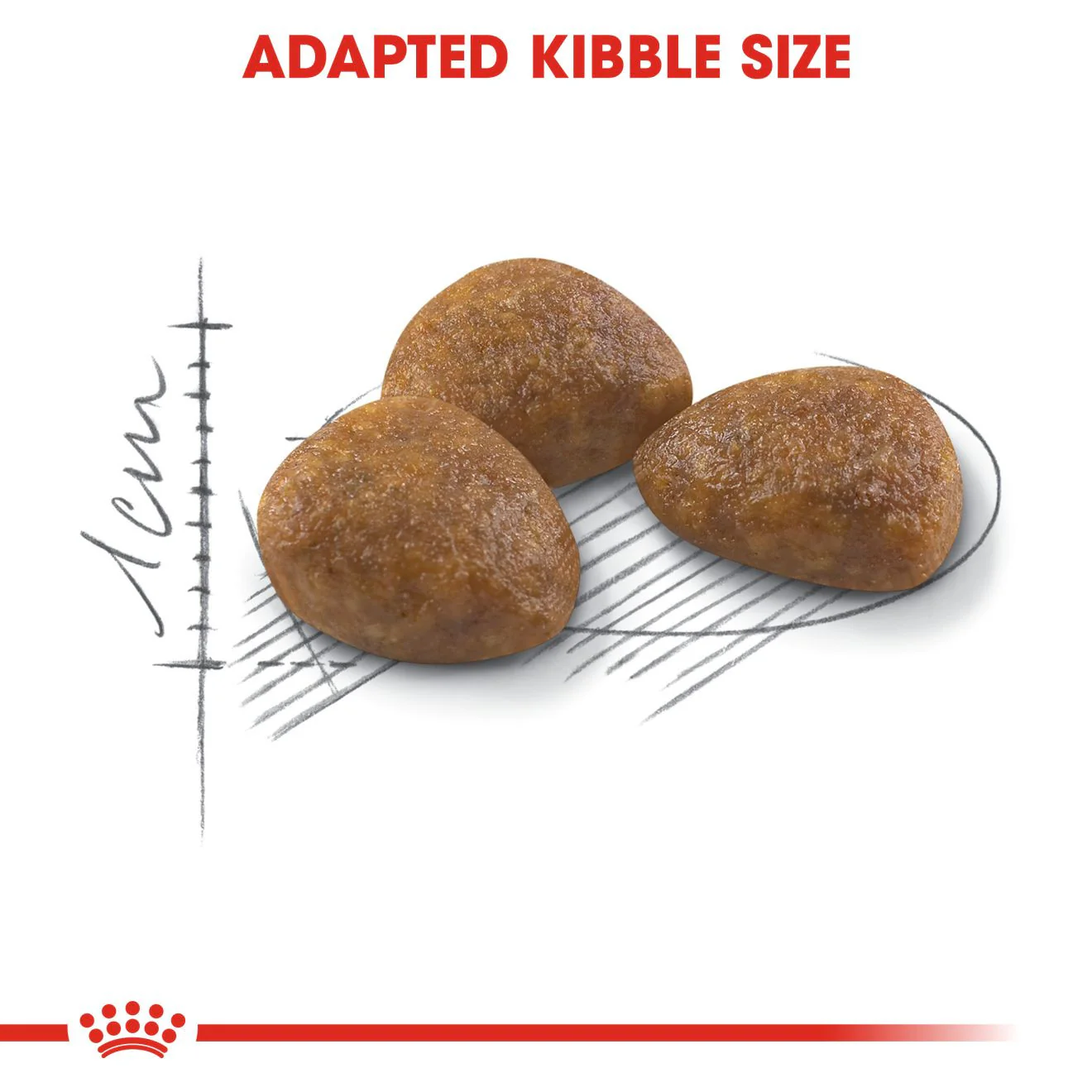 ROYAL CANIN Outdoor 7+ Dry Adult Cat Food - Image 5