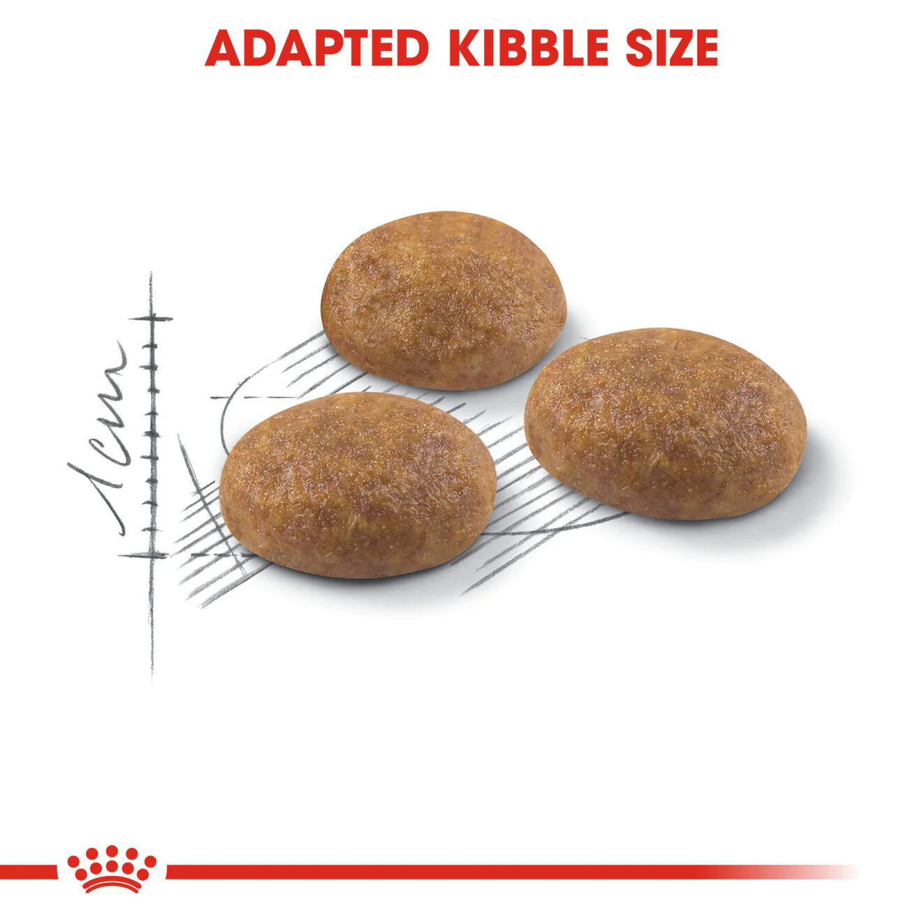 Royal Canin Outdoor Adult Dry Cat Food - Image 5