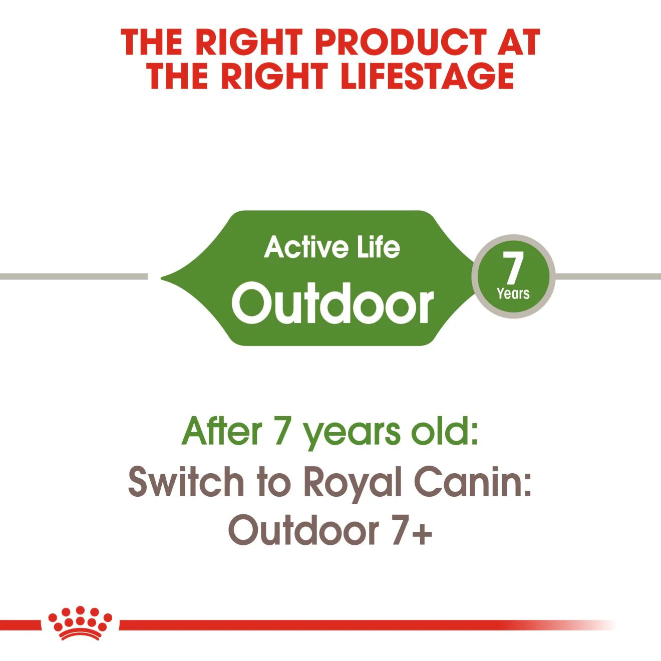 ROYAL CANIN Outdoor Dry Adult Cat Food - Image 3