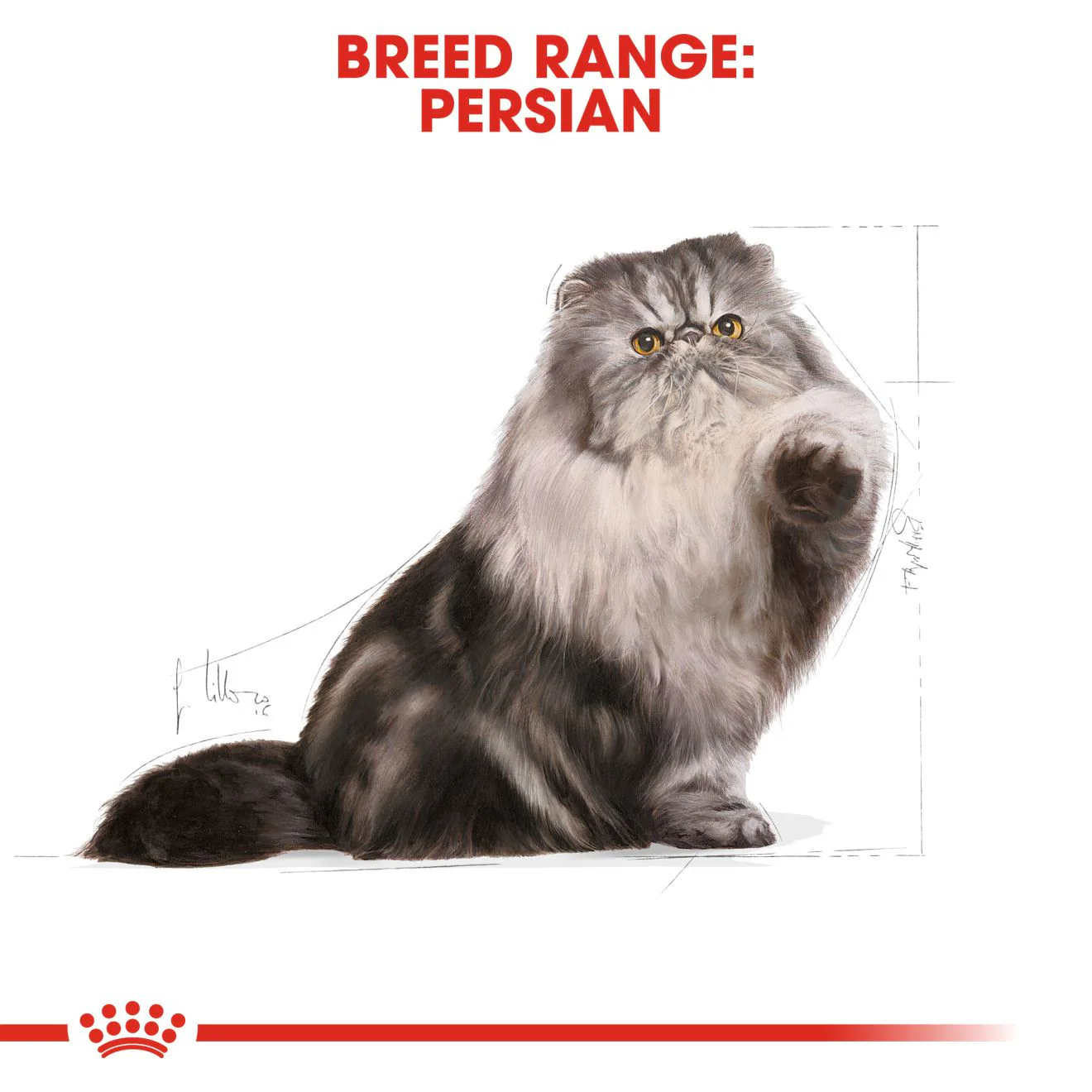 Royal Canin Persian Adult Dry Cat Food - Image 3