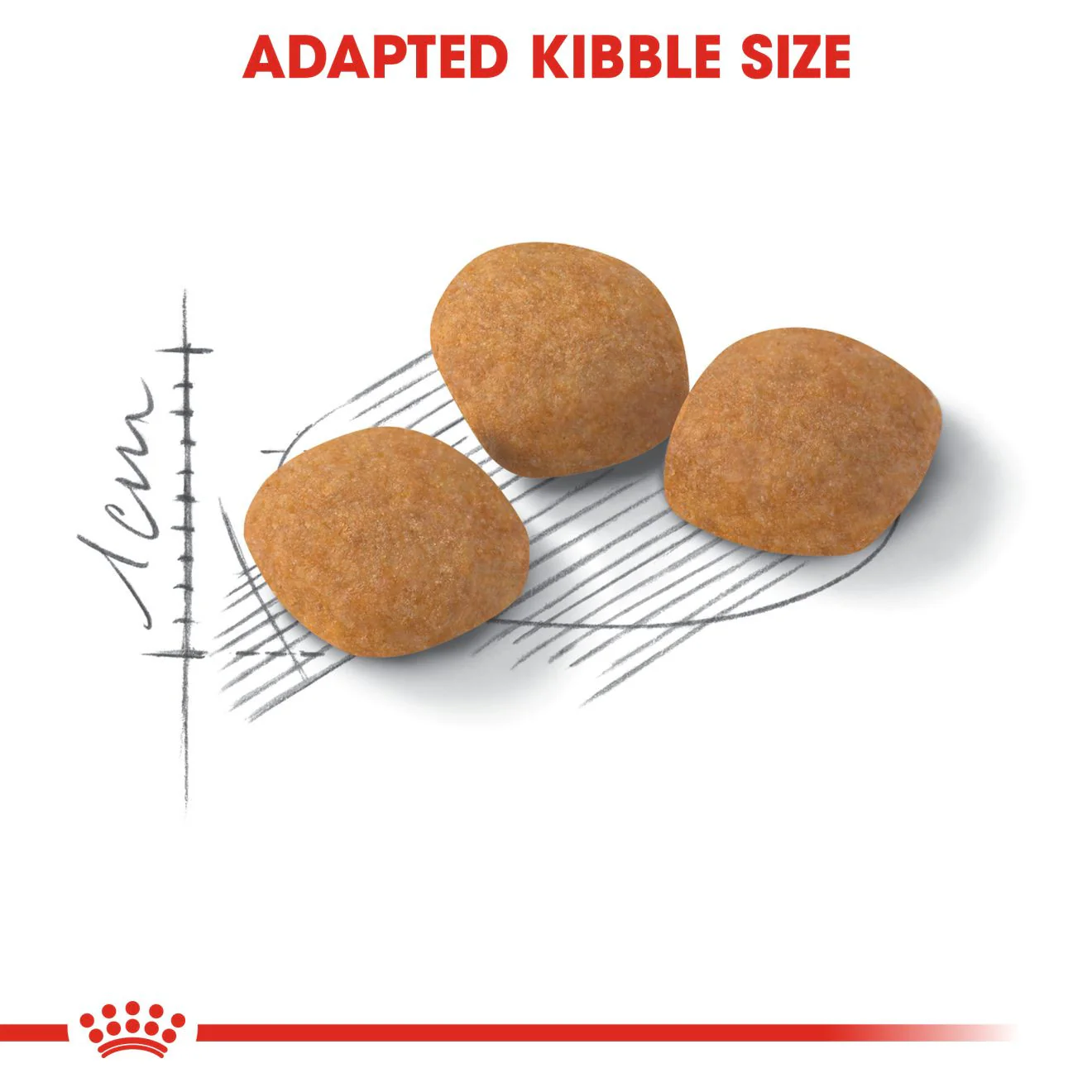 ROYAL CANIN Protein Exigent Dry Adult Cat Food - Image 4