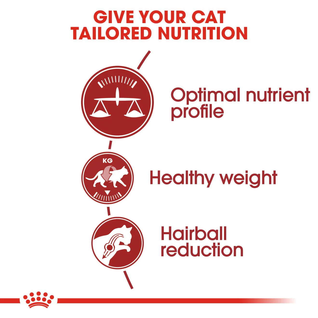 ROYAL CANIN Regular Fit 32 Adult Dry Cat Food - Image 3