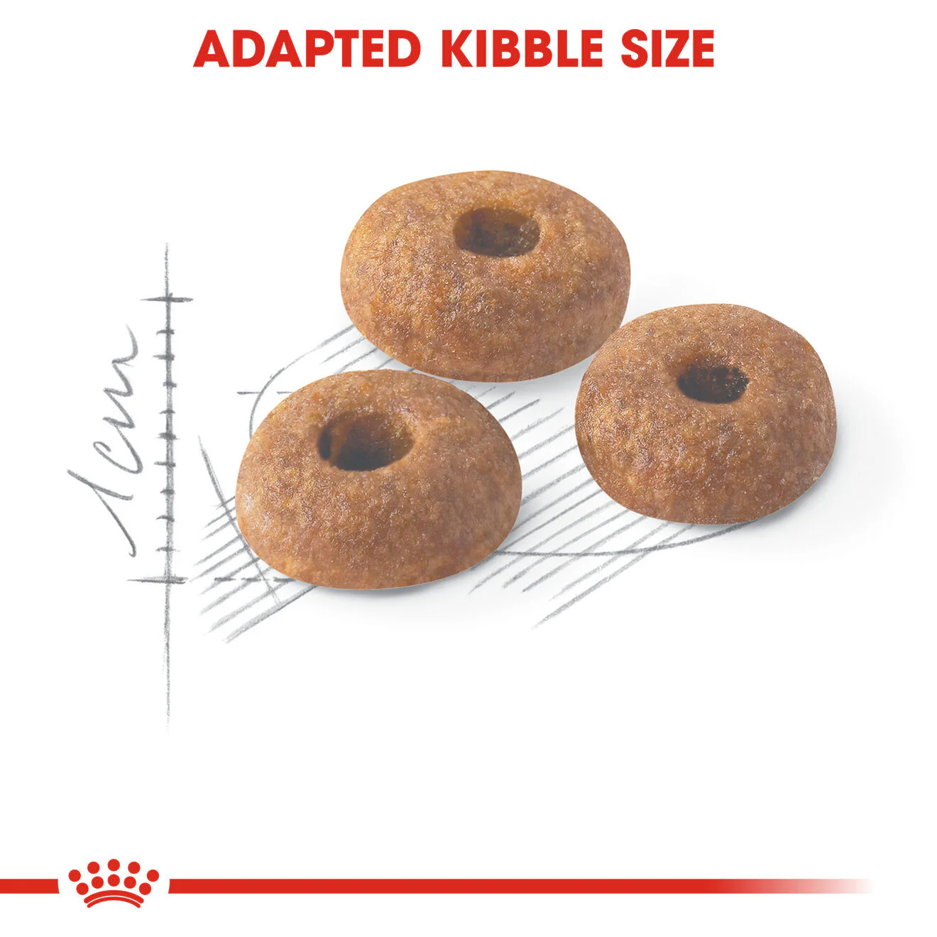 ROYAL CANIN Regular Fit 32 Adult Dry Cat Food - Image 4