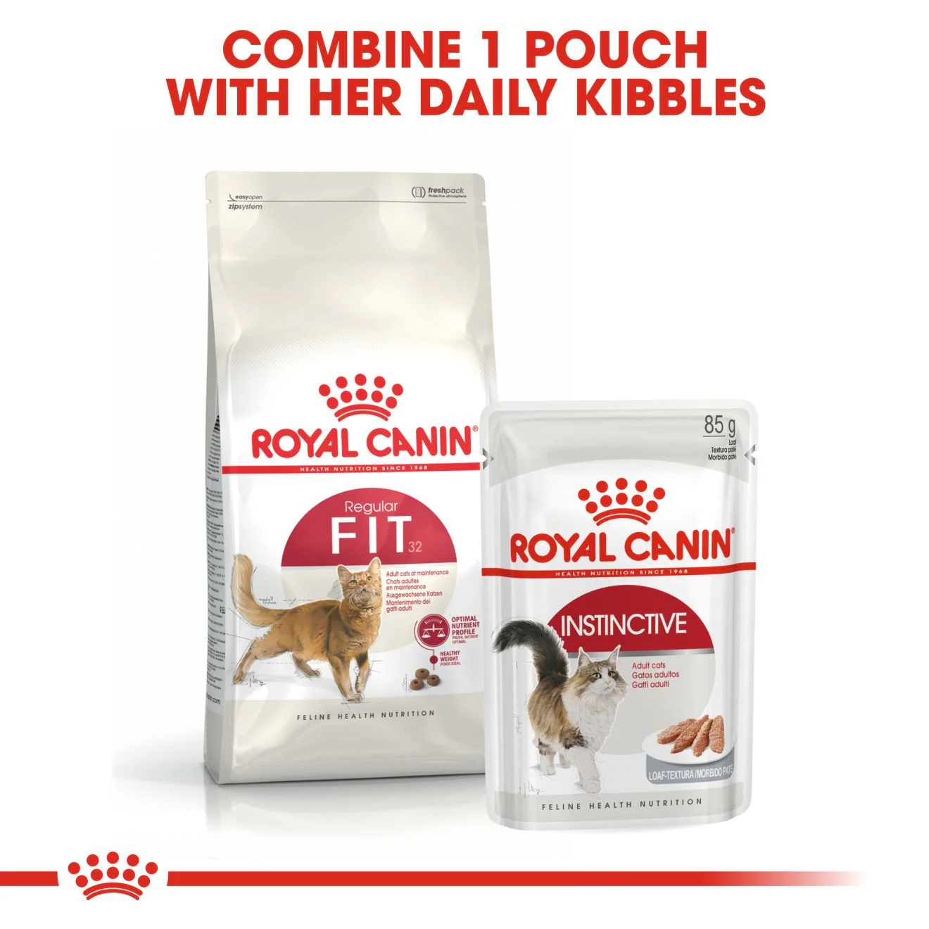 ROYAL CANIN Regular Fit 32 Adult Dry Cat Food - Image 5