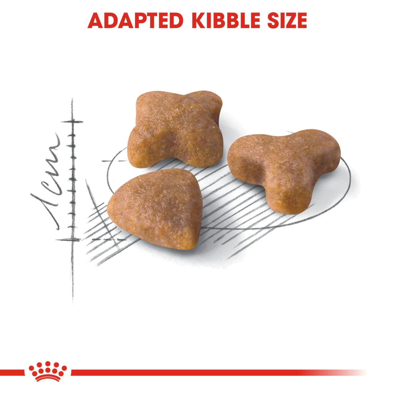 ROYAL CANIN Sensible 33 Dry Adult Cat Food - Image 4