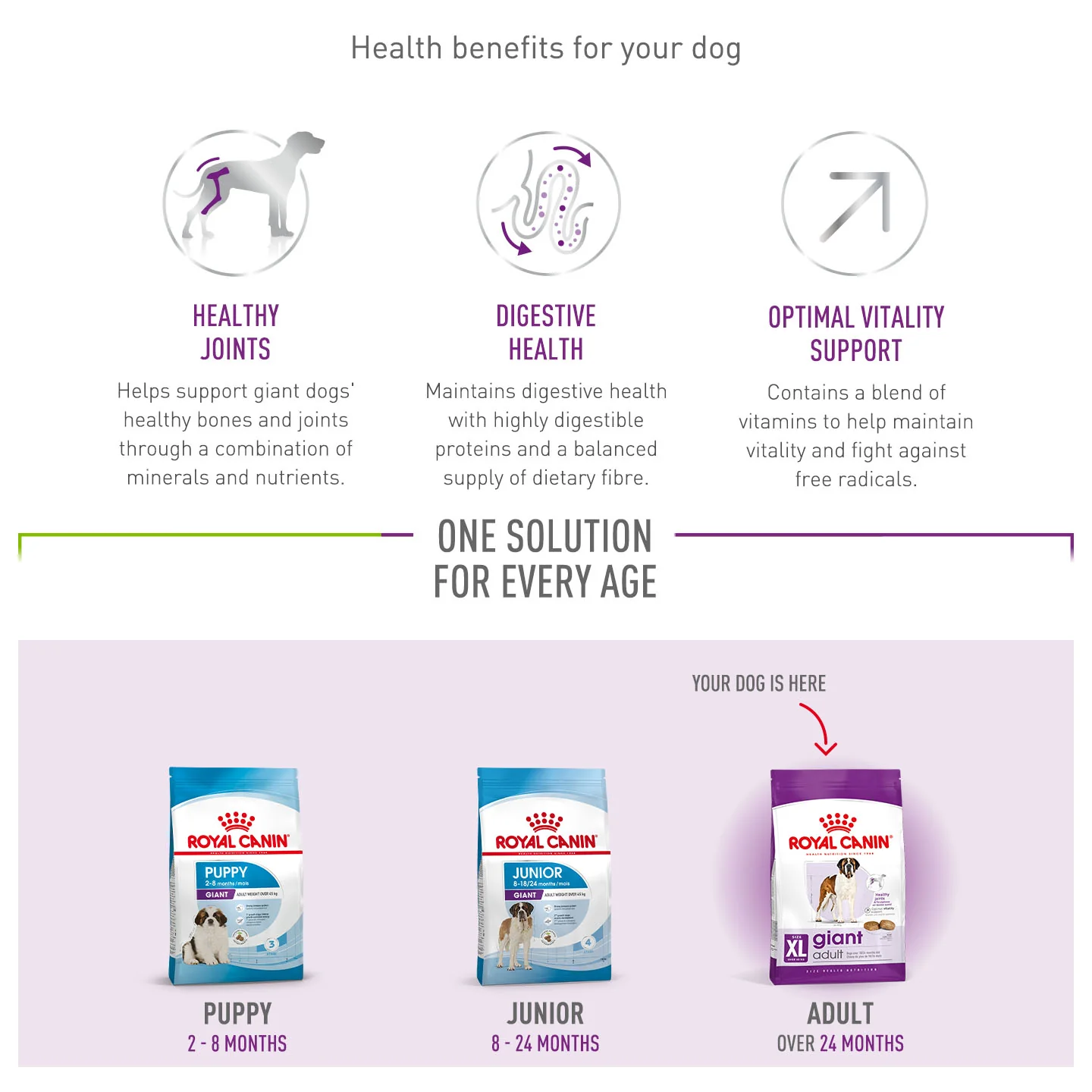 Royal Canin Size Health Nutrition Giant Adult Dry Dog Food - Image 12