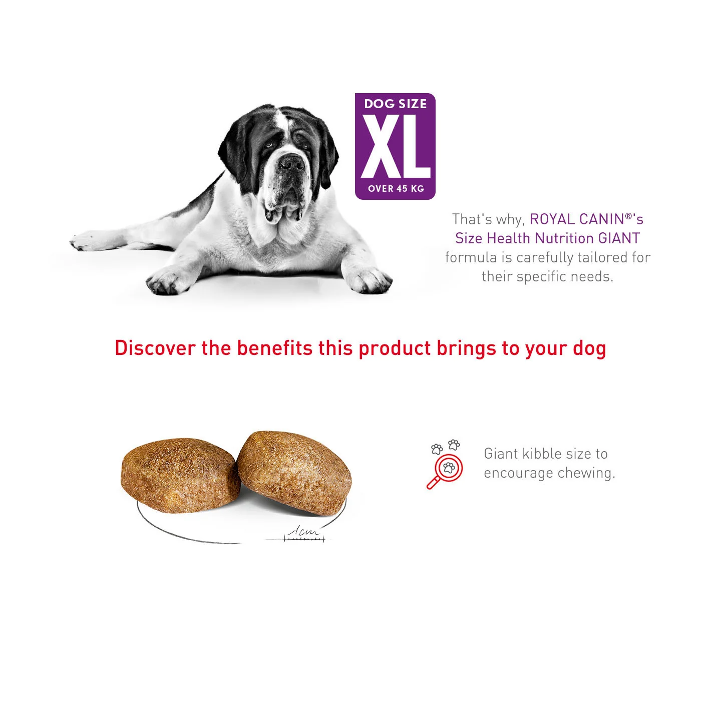 Royal Canin Size Health Nutrition Giant Adult Dry Dog Food - Image 15