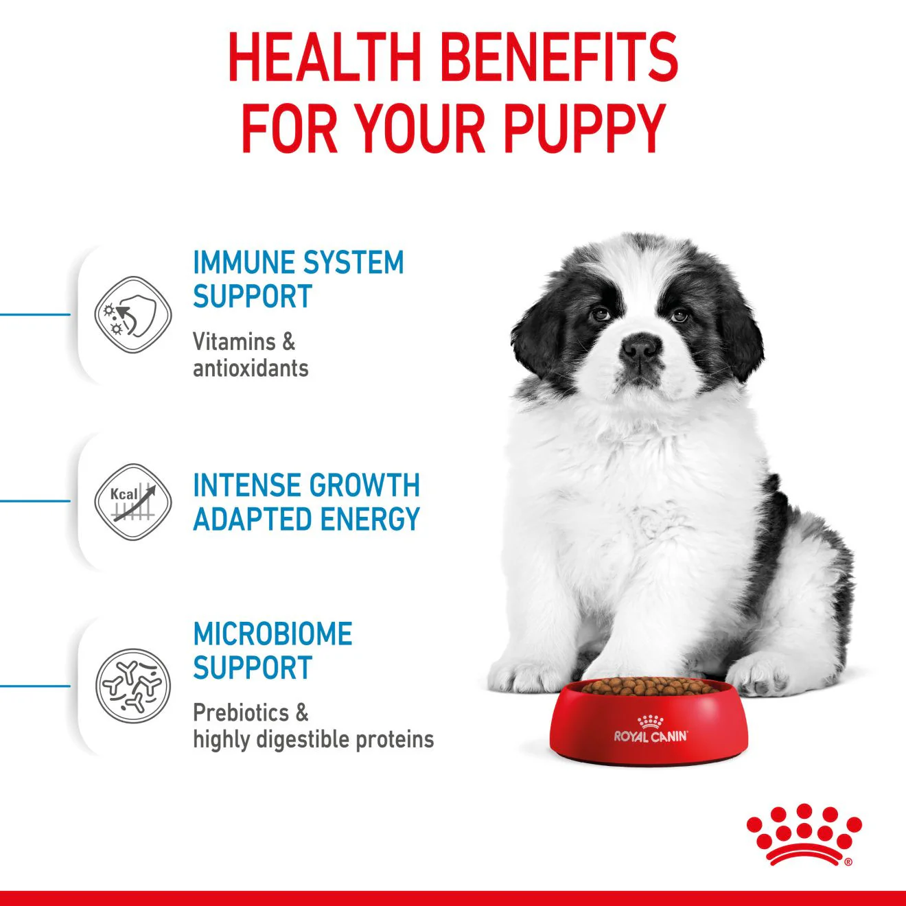 Royal Canin Size Health Nutrition Giant Puppy Dry Dog Food - Image 4