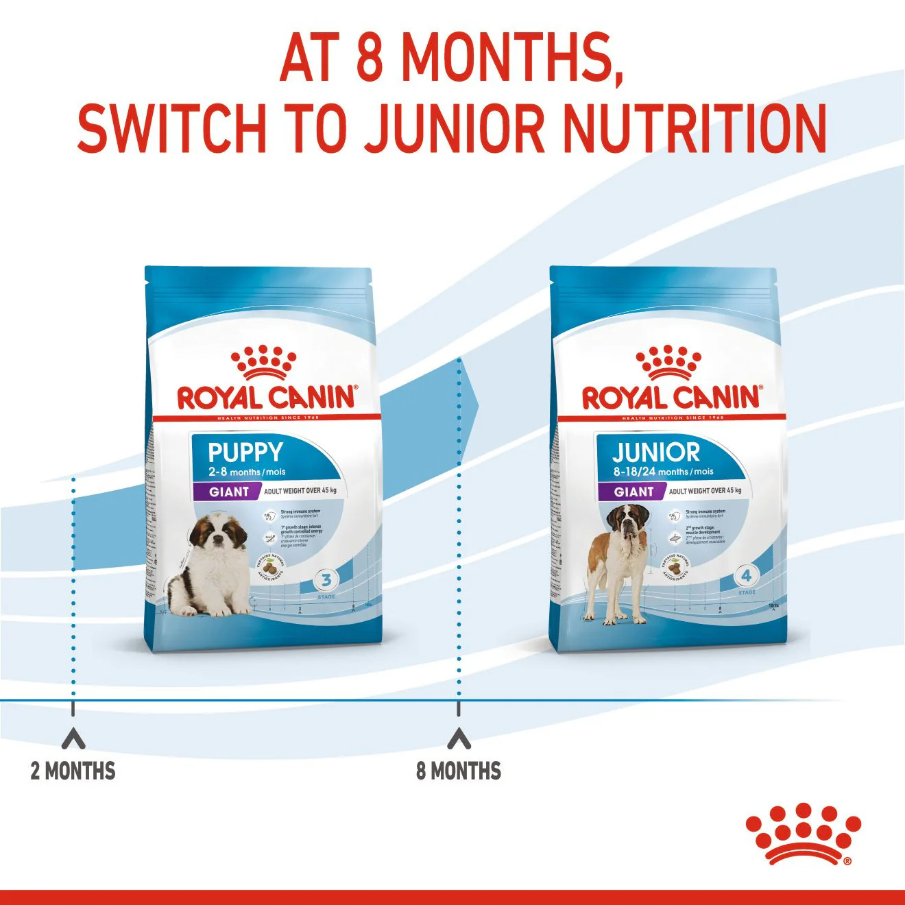 Royal Canin Size Health Nutrition Giant Puppy Dry Dog Food - Image 5