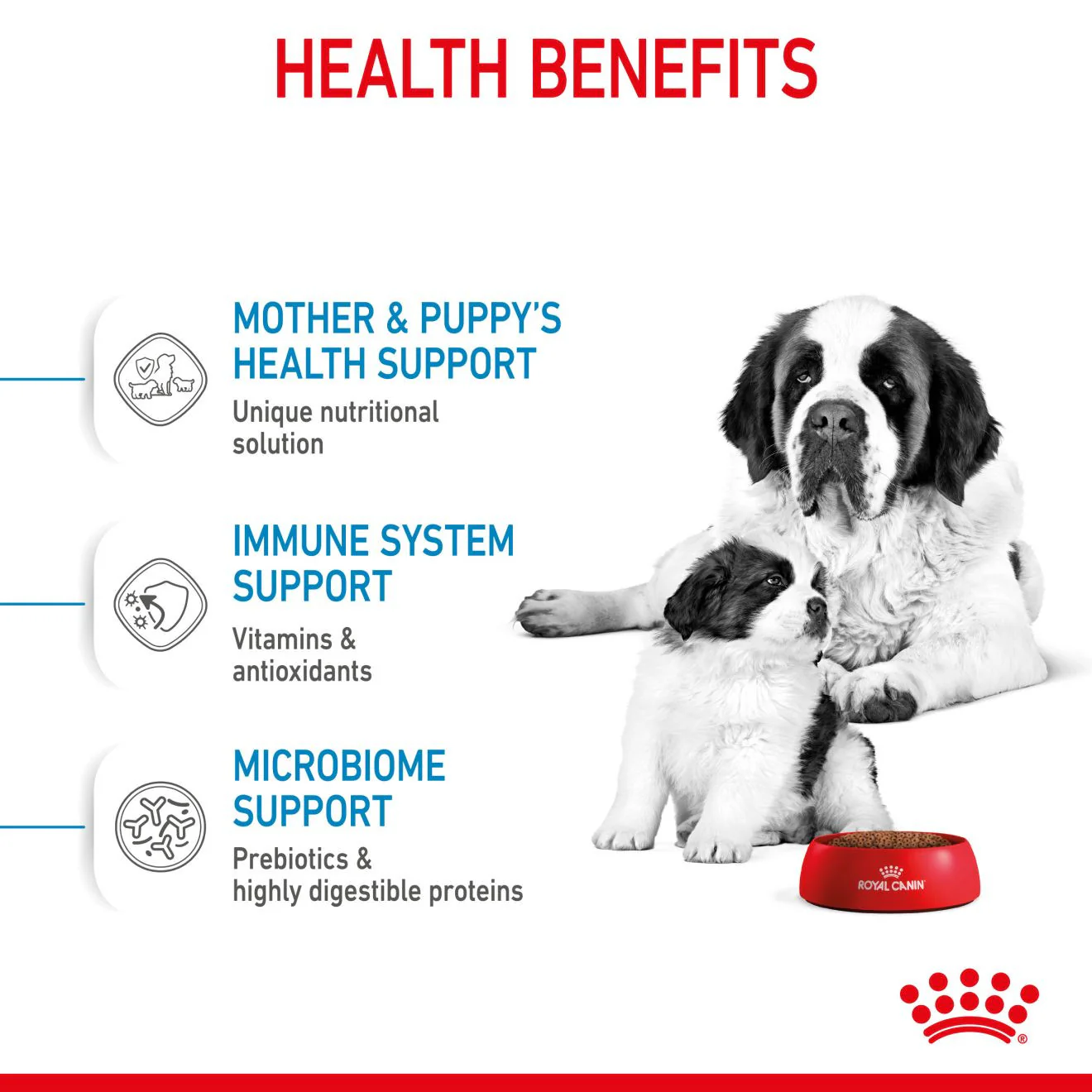 Royal Canin Size Health Nutrition Giant Starter Mother & Babydog Puppy Dry Dog Food - Image 4