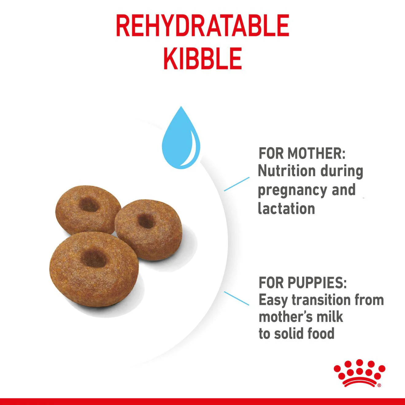 Royal Canin Size Health Nutrition Giant Starter Mother & Babydog Puppy Dry Dog Food - Image 5