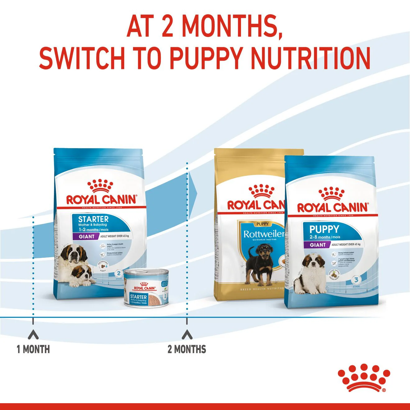 Royal Canin Size Health Nutrition Giant Starter Mother & Babydog Puppy Dry Dog Food - Image 6
